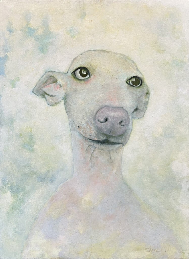 "Iggy Tomas" | 18x24 in | Oil on Canvas | 2024 | ID#3479 | Sam Roloff | $1000